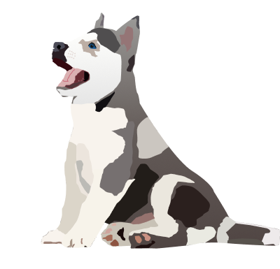 Husky Homescreen
